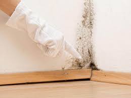 Best Attic Mold Removal  in Northlakes, NC